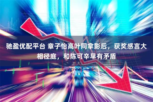驰盈优配平台 章子怡高叶同拿影后，获奖感言大相径庭，和陈可辛早有矛盾