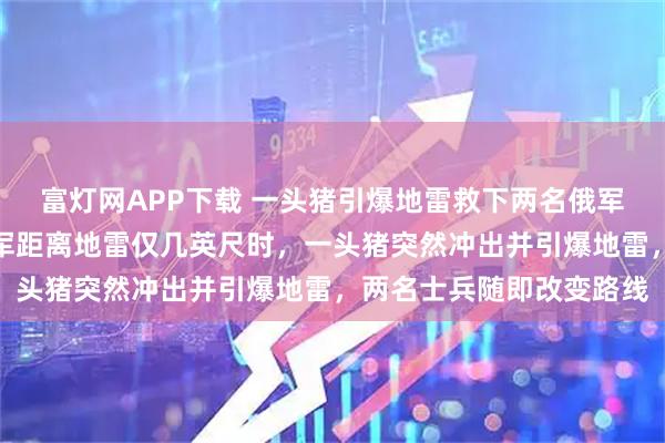 富灯网APP下载 一头猪引爆地雷救下两名俄军士兵画面曝光：两名俄军距离地雷仅几英尺时，一头猪突然冲出并引爆地雷，两名士兵随即改变路线
